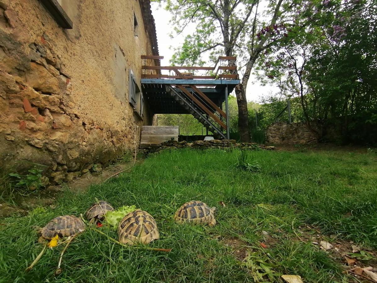 Gite Du Fassac Saint-Julien-du-Puy Экстерьер фото